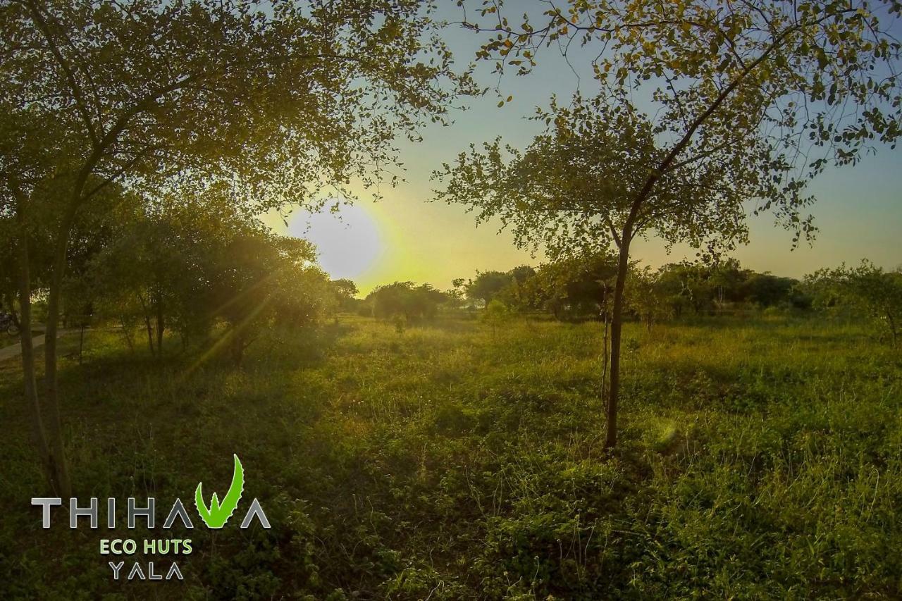 Bed and Breakfast Thihawa Eco Huts Yala Tissamaharama Zewnętrze zdjęcie